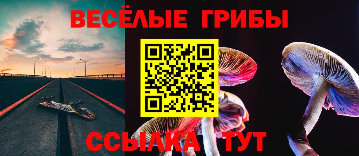 Каменка  Галлюциногенные грибы мухоморы  как найти закладки  Вход с VPN 