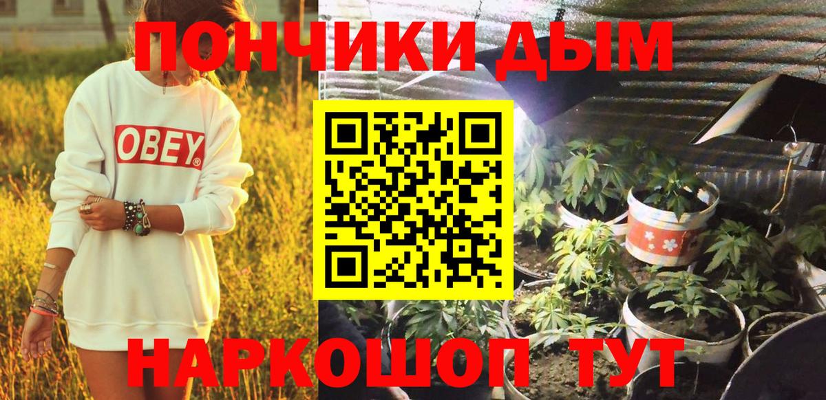 Каннабис Bruce Banner Каменка